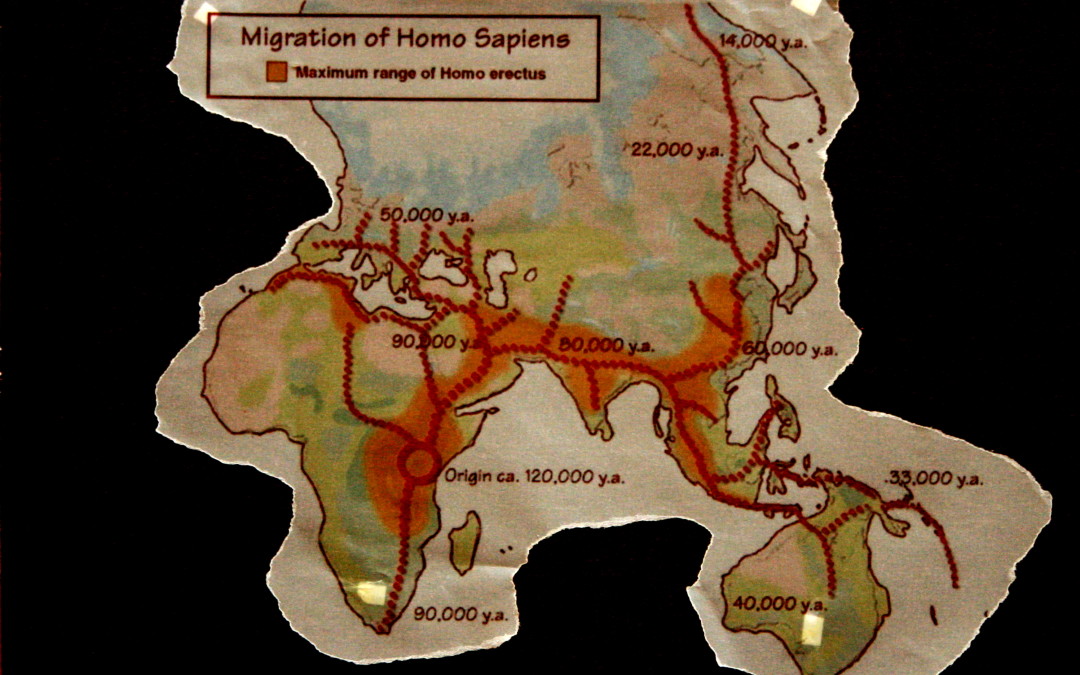 Migration of homo sapiens